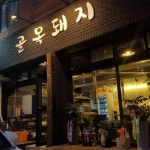 골목돼지