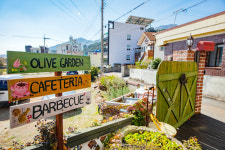 올리브커플펜션