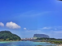 오조숙녀Sea