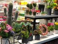 좋은세상협동조합