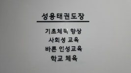 성용태권도