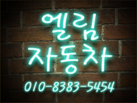 엘림자동차