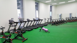 헬스다