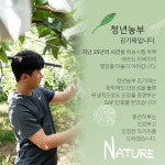농업회사법인 하나