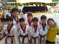 한라태권도