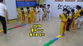 한라태권도