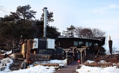 로빈의숲