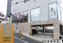 on동물병원