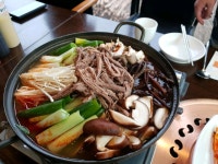 로빈의숲