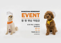 왕짱스쿨