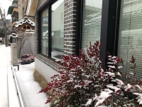 서촌정신건강의학과의원