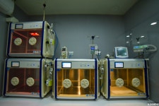 KASMINE 동물심혈관신장센터