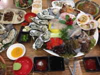 청춘막회