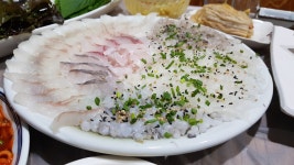 빨간산오징어