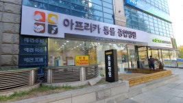 아프리카 동물 종합병원