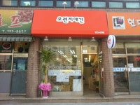 오렌지애견