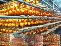 대봉곶감 이레웰빙농원