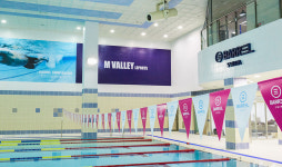 엠스타휘트니스