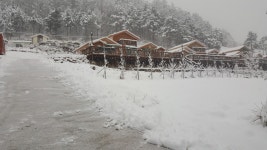 민둥산산마루시루봉펜션