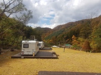 초리포레스트