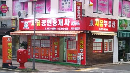 자유공인중개사사무소