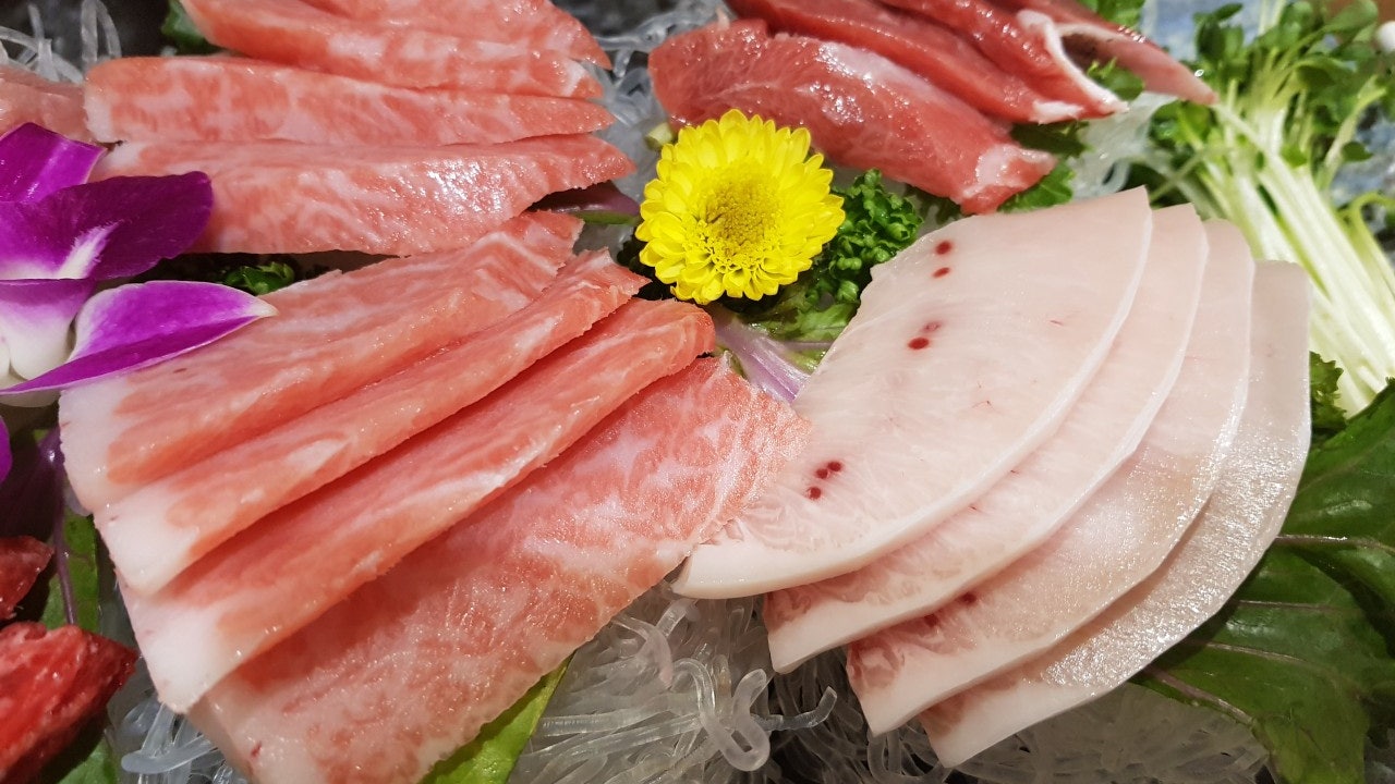 홍진참치