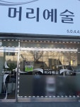 머리예술