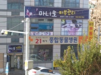 21세기동물병원
