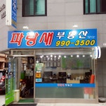 파랑새부동산공인중개사사무소