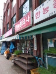 한농종묘사
