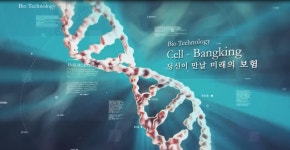 카이로스피씨씨 | 아이에프에이 카이로스사업단