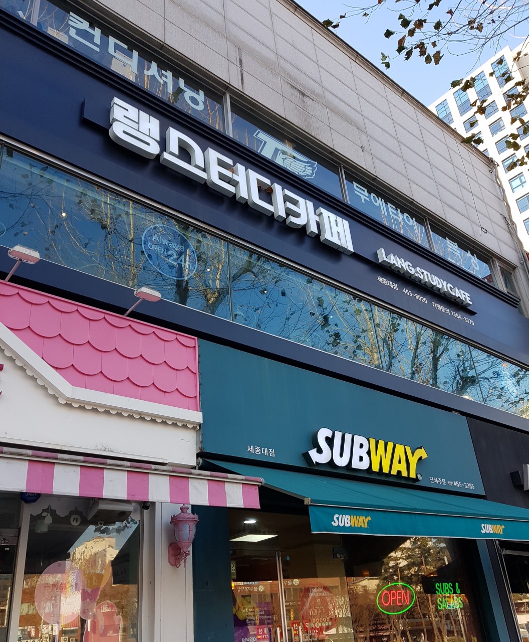 랭스터디카페 이미지