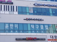 윤한미탁구클럽