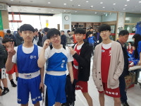 화랑복싱