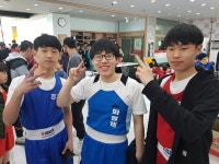화랑복싱