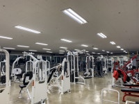 육체미휘트니스