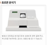 해운대 케이 동물병원