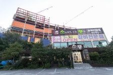 소나무가있는풍경