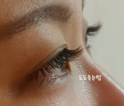 도도속눈썹