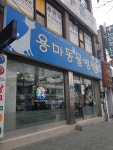 용마동물병원