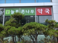 늘푸른나무약국