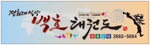 백호경희대태권도