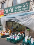 싱싱야채과일 건대점