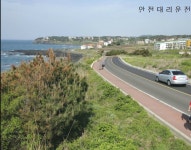 강남대리운전 안전대리운전
