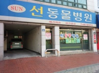 선동물병원