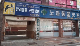 노아동물병원