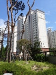 단지내코오롱공인중개사사무소