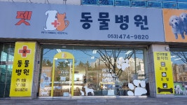 펫동물병원