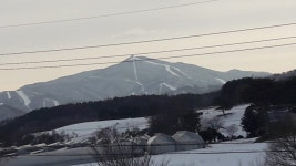 대관령지니하우스