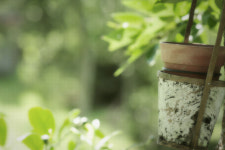 비단골펜션관광농원